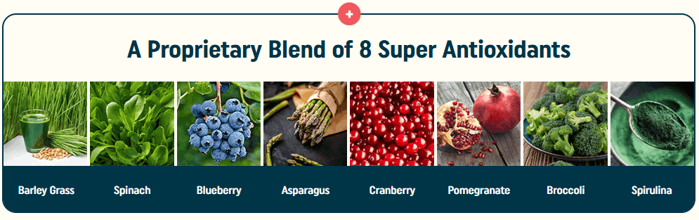 nagano tonic ingredients